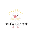 かわいい文鳥の敬語スタンプ（個別スタンプ：1）