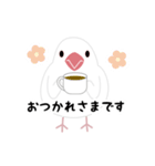 かわいい文鳥の敬語スタンプ（個別スタンプ：11）