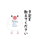 かわいい文鳥の敬語スタンプ（個別スタンプ：27）