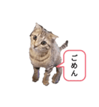 ミモザさんスタンプショップ6（個別スタンプ：9）