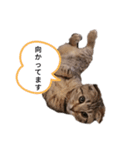 ミモザさんスタンプショップ6（個別スタンプ：21）