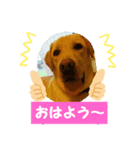 ジュラジュラジュララ（個別スタンプ：1）