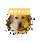ジュラジュラジュララ（個別スタンプ：3）
