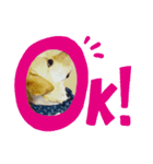 ジュラジュラジュララ（個別スタンプ：5）