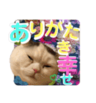 コロン＆トト（個別スタンプ：29）