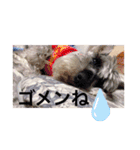 世界一可愛いプリンちゃん♡（個別スタンプ：3）