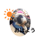 世界一可愛いプリンちゃん♡（個別スタンプ：12）