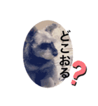 世界一可愛いプリンちゃん♡（個別スタンプ：13）