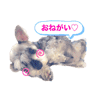 世界一可愛いプリンちゃん♡（個別スタンプ：17）