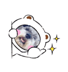 世界一可愛いプリンちゃん♡（個別スタンプ：24）