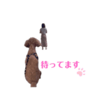 めぐみとまろん（個別スタンプ：5）