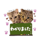 あいとスタンぷ②（個別スタンプ：12）