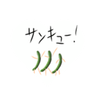 伸びるきゅうり（個別スタンプ：11）