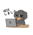 『憎めない犬』の夏っと敬語（個別スタンプ：10）