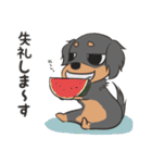 『憎めない犬』の夏っと敬語（個別スタンプ：21）