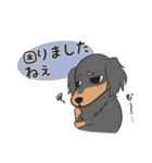 『憎めない犬』の夏っと敬語（個別スタンプ：26）