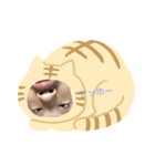 何を可愛い（個別スタンプ：1）