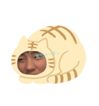 何を可愛い（個別スタンプ：8）