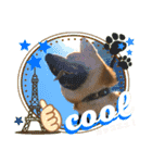 柴犬 豆之進 日常STAMP✰︎【関西弁】其の六（個別スタンプ：1）