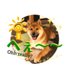 柴犬 豆之進 日常STAMP✰︎【関西弁】其の六（個別スタンプ：6）