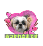 ハウくんと飼い主スタンプNo.3（個別スタンプ：3）