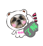 ハウくんと飼い主スタンプNo.3（個別スタンプ：7）