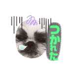 ハウくんと飼い主スタンプNo.3（個別スタンプ：11）