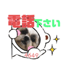 ハウくんと飼い主スタンプNo.3（個別スタンプ：15）