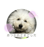 ハルタロウのあいさつ3（個別スタンプ：2）