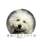 ハルタロウのあいさつ3（個別スタンプ：16）
