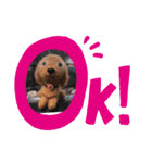 ダックンとゴロ兵衛（個別スタンプ：11）