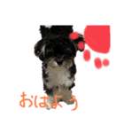 ソラ第2弾(日常生活)（個別スタンプ：1）