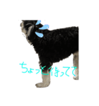 ソラ第2弾(日常生活)（個別スタンプ：3）