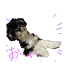 ソラ第2弾(日常生活)（個別スタンプ：8）