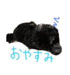 ソラ第2弾(日常生活)（個別スタンプ：11）