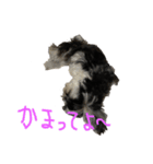 ソラ第2弾(日常生活)（個別スタンプ：12）