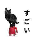 黒猫ちゃんスタンプ改（個別スタンプ：8）