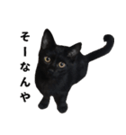 黒猫ちゃんスタンプ改（個別スタンプ：9）