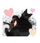 黒猫ちゃんスタンプ改（個別スタンプ：13）