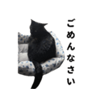 黒猫ちゃんスタンプ改（個別スタンプ：18）