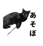 黒猫ちゃんスタンプ改（個別スタンプ：23）