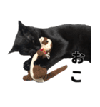 黒猫ちゃんスタンプ改（個別スタンプ：26）