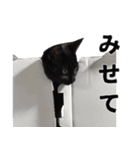 黒猫ちゃんスタンプ改（個別スタンプ：28）