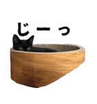 黒猫ちゃんスタンプ改（個別スタンプ：31）