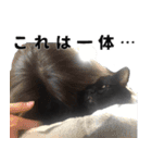 黒猫ちゃんスタンプ改（個別スタンプ：35）
