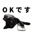 黒猫ちゃんスタンプ改（個別スタンプ：37）