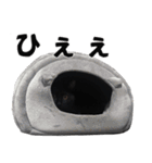 黒猫ちゃんスタンプ改（個別スタンプ：38）