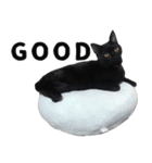 黒猫ちゃんスタンプ改（個別スタンプ：39）