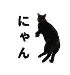 黒猫ちゃんスタンプ改（個別スタンプ：40）