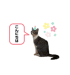 takakomomoriko（個別スタンプ：7）